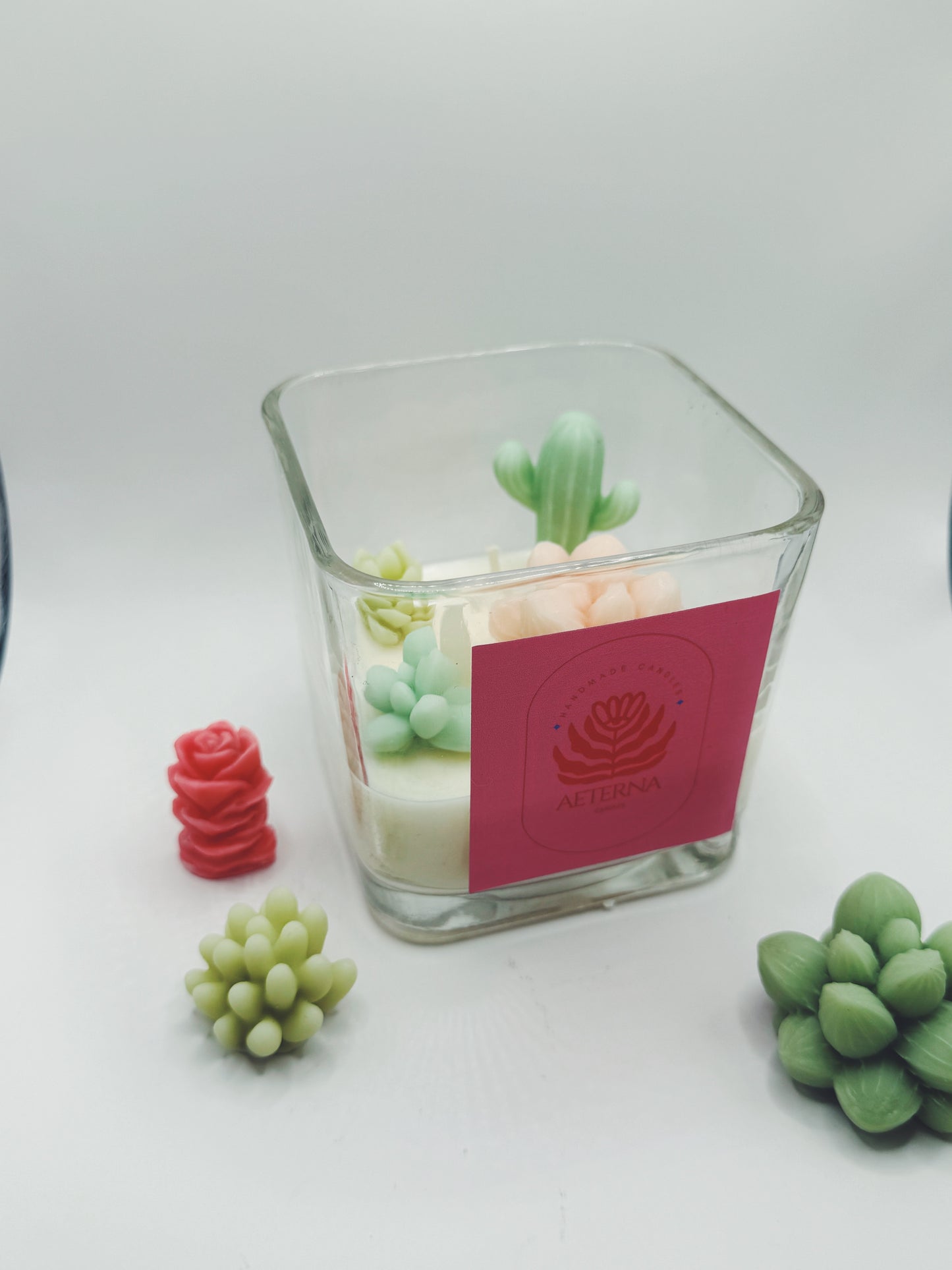 Terrariums